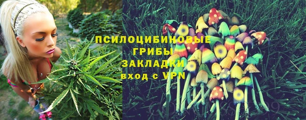 2c-b Верхний Тагил
