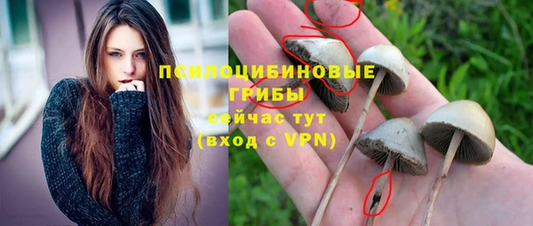 герыч Верея