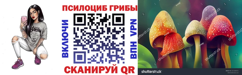 купить  цена  Людиново  kraken зеркало  Псилоцибиновые грибы ЛСД 